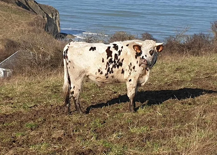 Δωμάτια σε οικογενειακή κατοικία A 5 Min De La Pointe Du Hoc